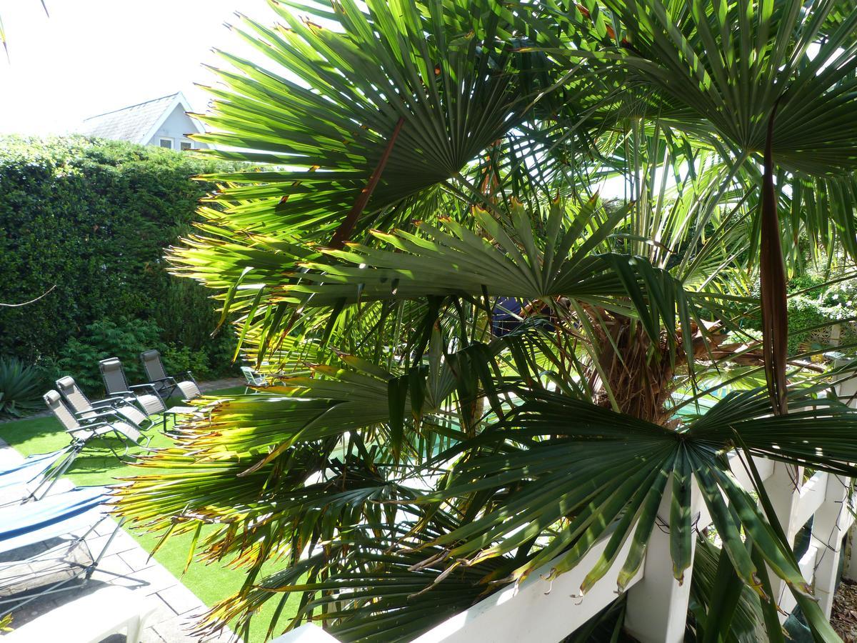 Hotel Oaklands House - Adults Only à Brading Extérieur photo